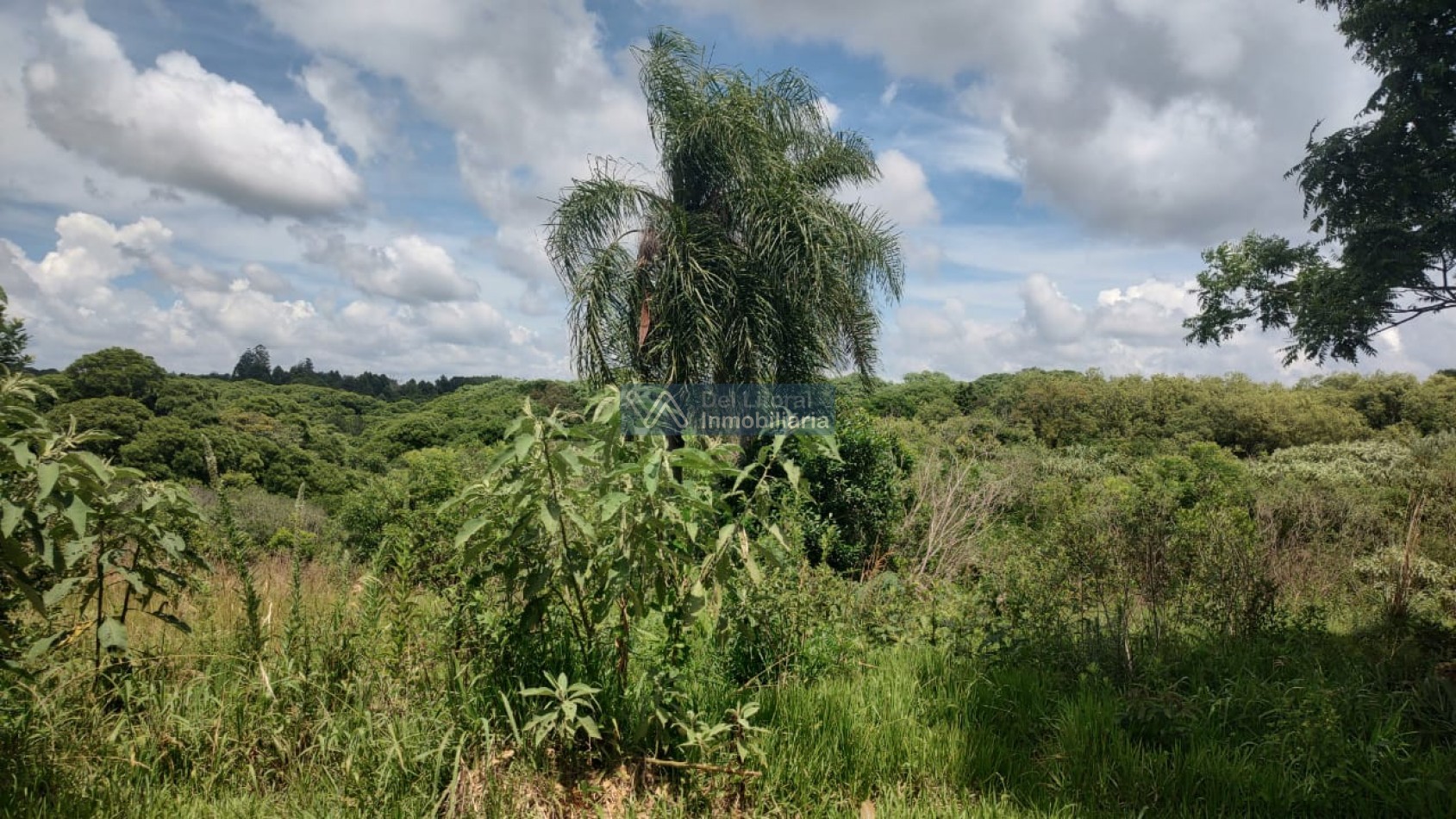 CHACRA 27 HECTAREAS 