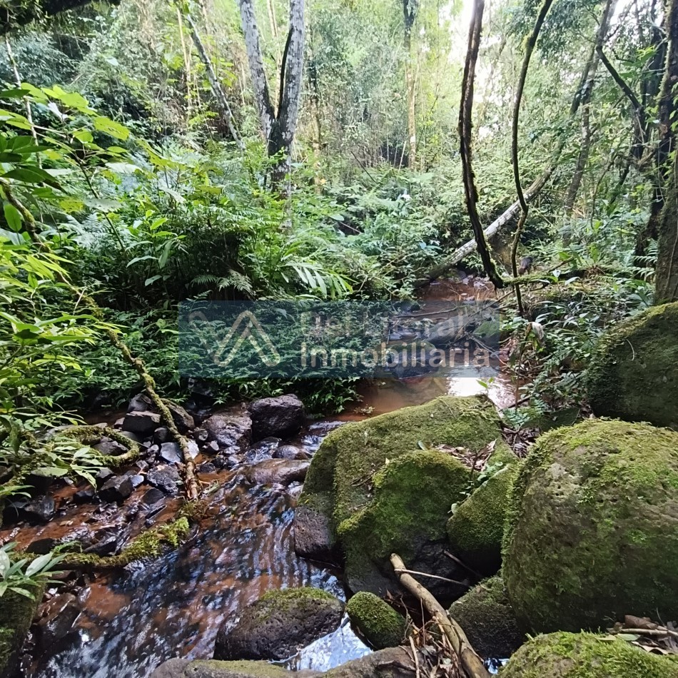 QUINTA EN VENTA 