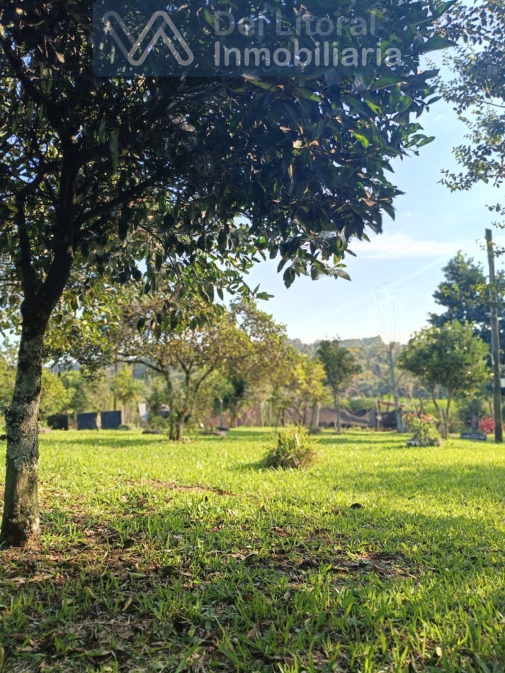 QUINTA