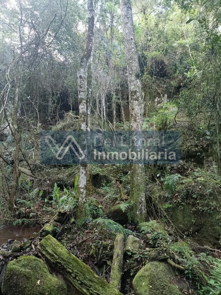 QUINTA EN VENTA 