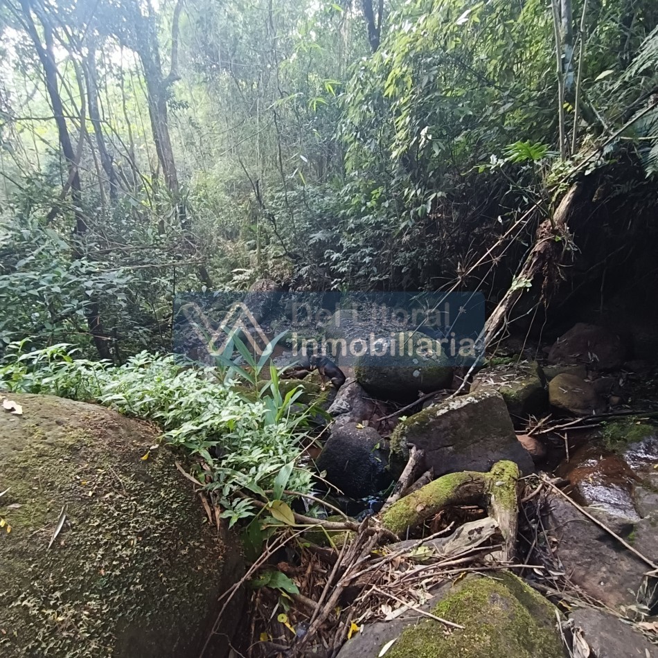 QUINTA EN VENTA 