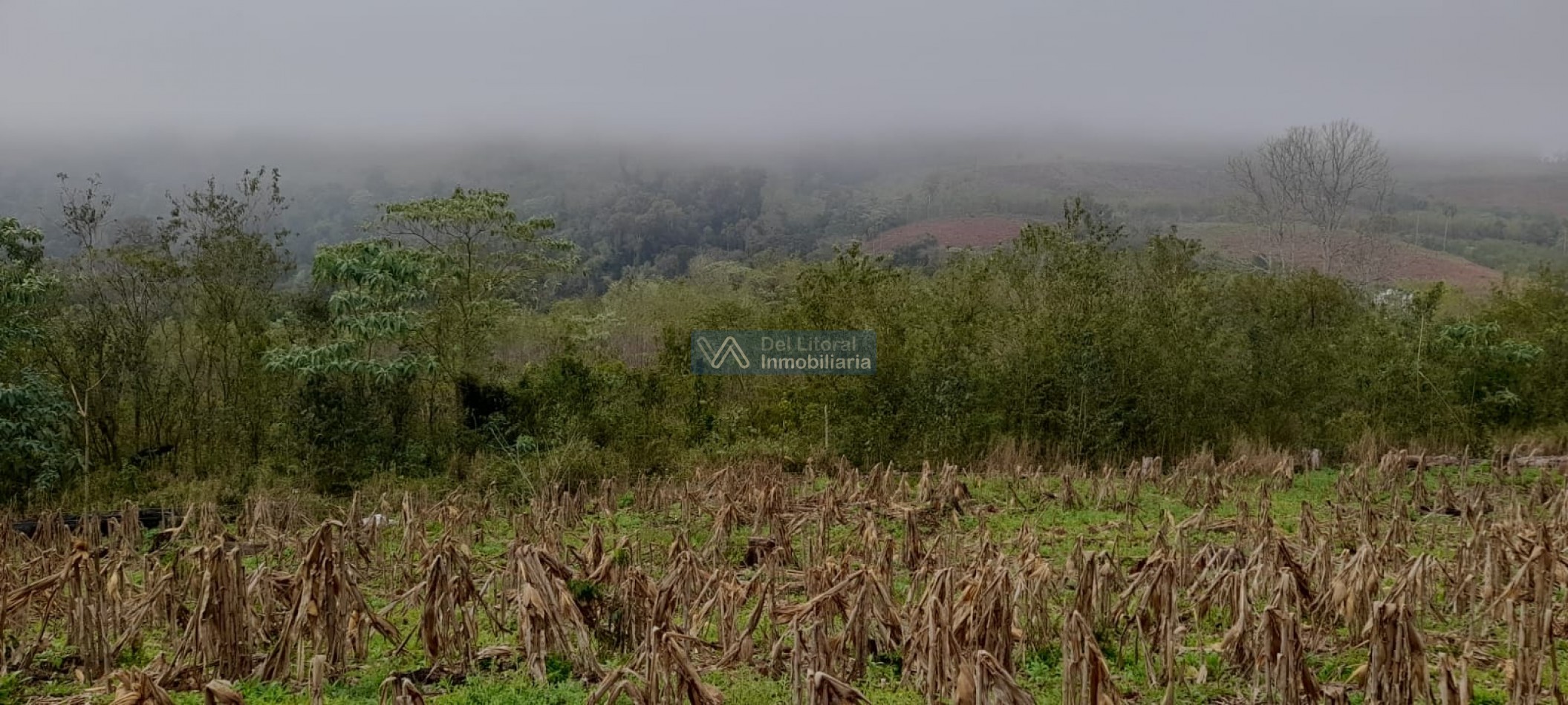 CHACRA 14 HECTAREAS 
