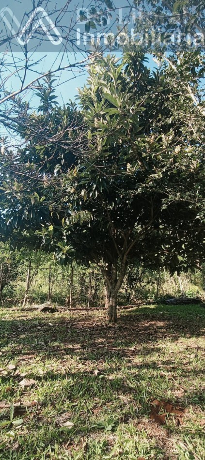 QUINTA