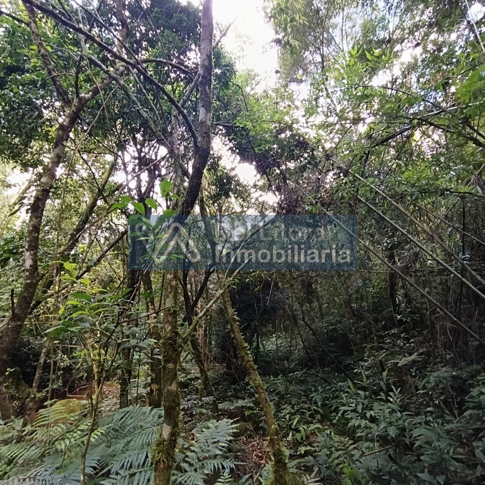 QUINTA EN VENTA 