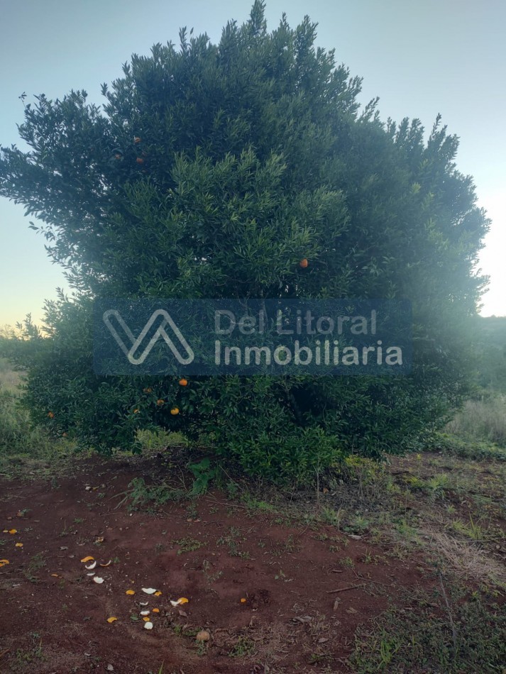 PROPIEDAD 