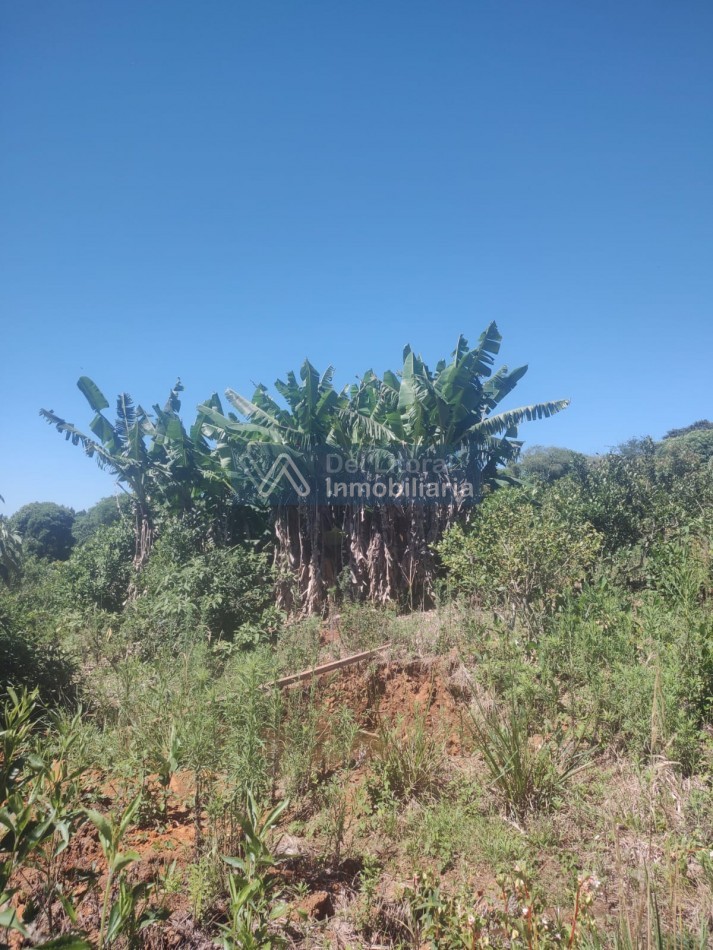 CHACRA EN VENTA