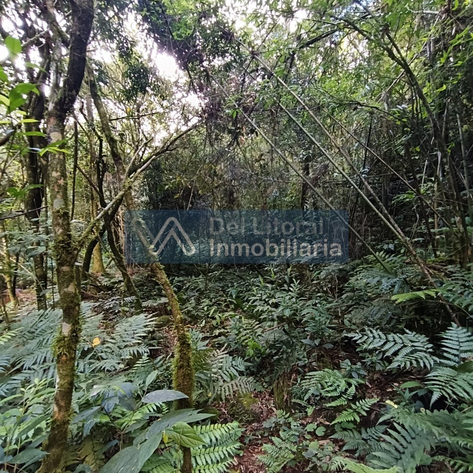QUINTA EN VENTA 