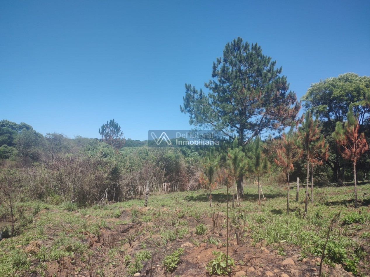 CHACRA EN VENTA