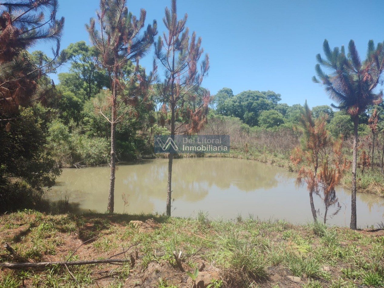 CHACRA EN VENTA