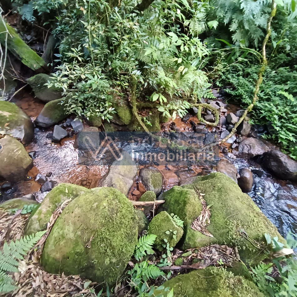 QUINTA EN VENTA 
