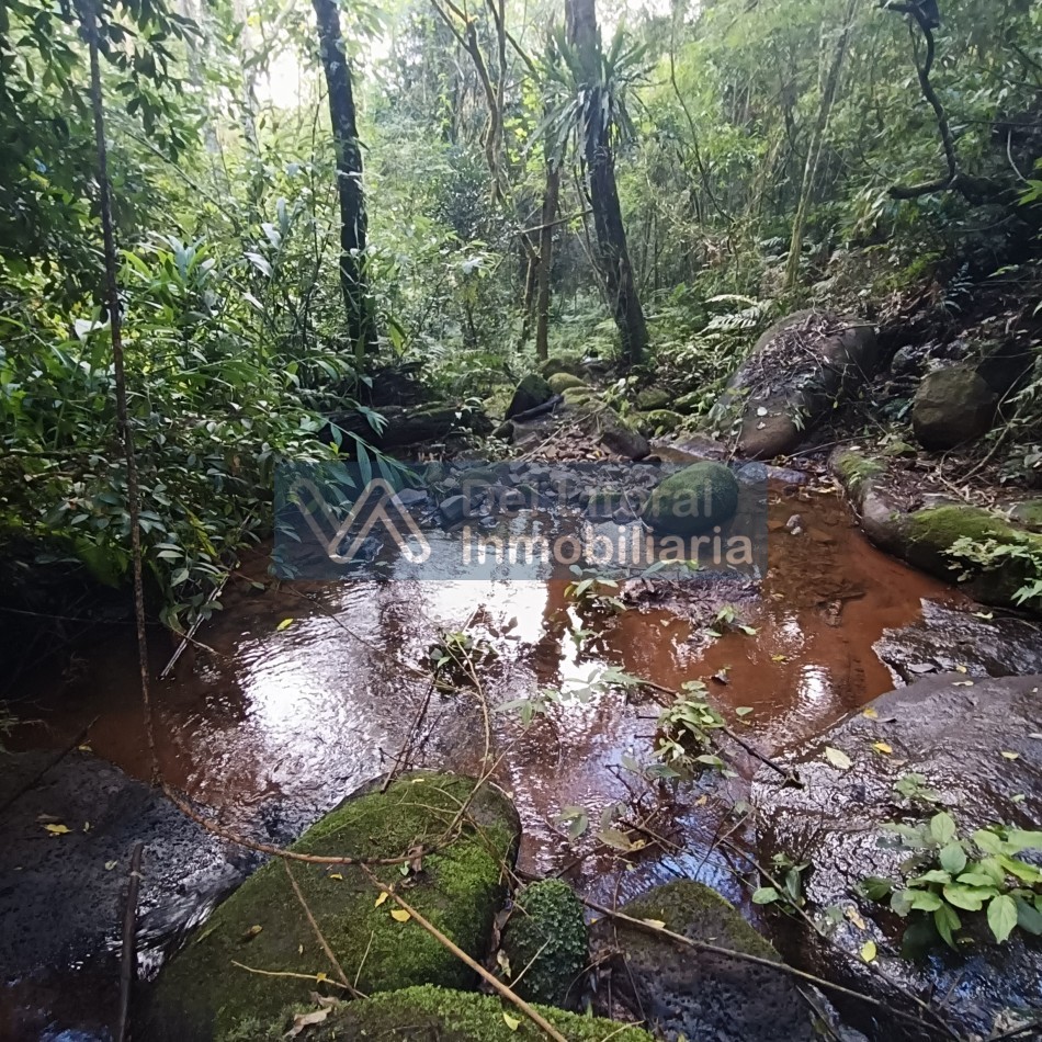 QUINTA EN VENTA 