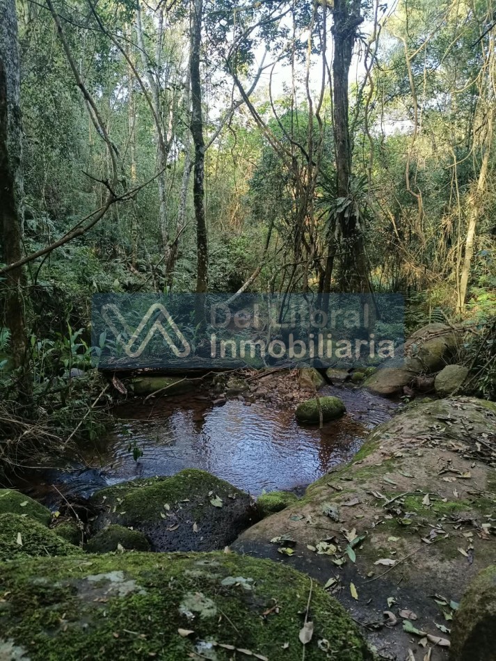 QUINTA EN VENTA 
