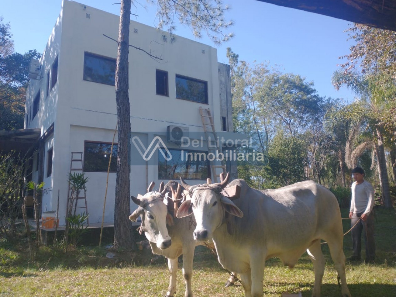 CHACRA 67 HECTAREAS