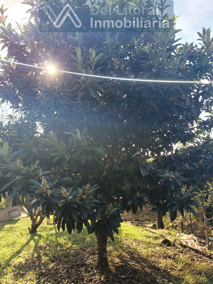 QUINTA