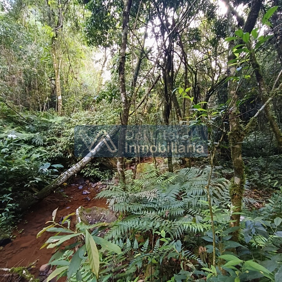 QUINTA EN VENTA 