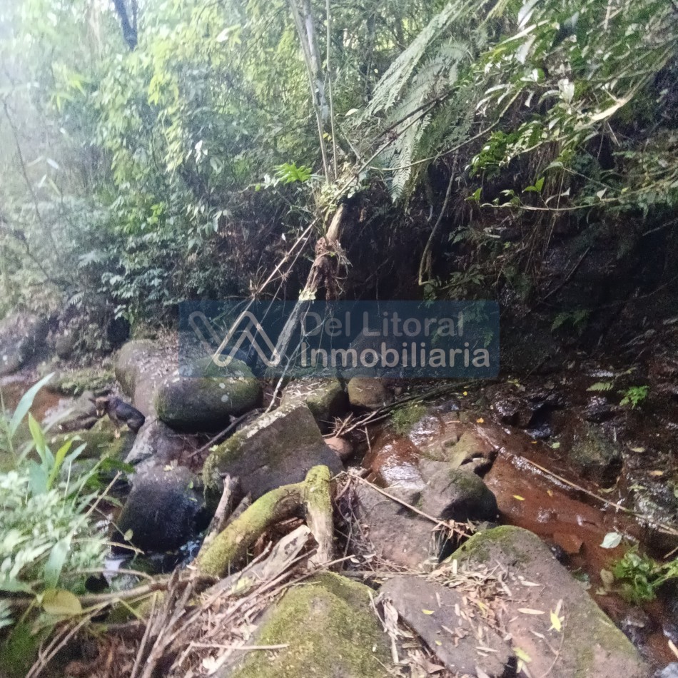 QUINTA EN VENTA 