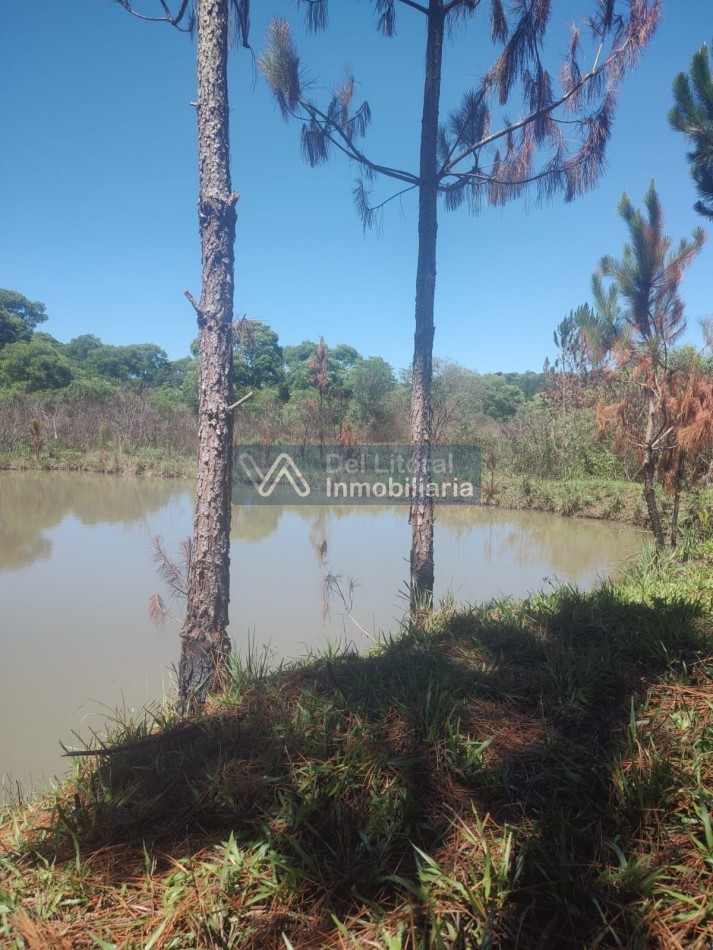 CHACRA EN VENTA