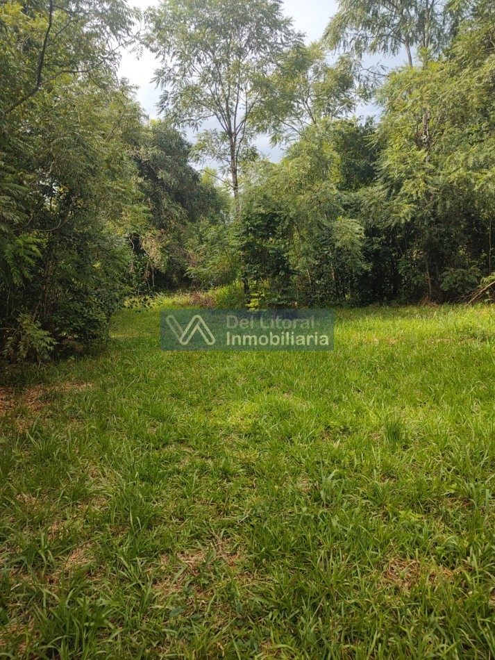 QUINTA 