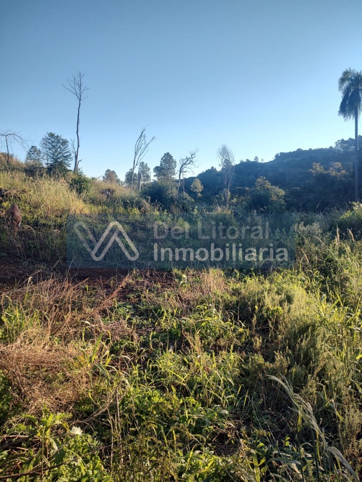 PROPIEDAD 
