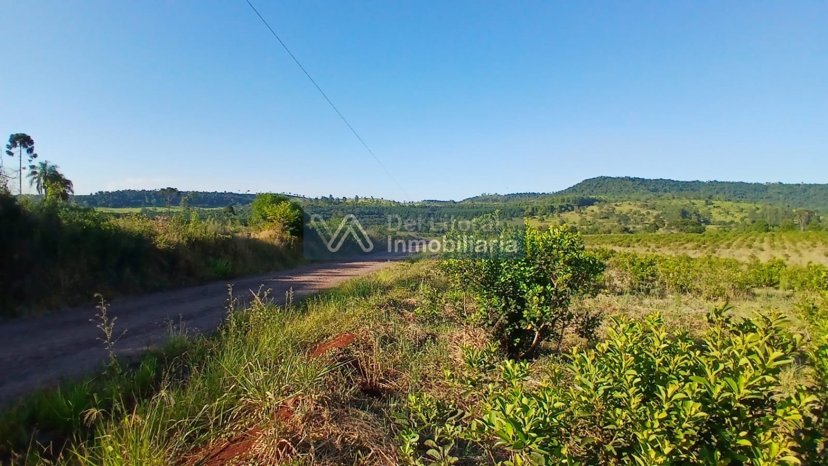 🌱 100 HECTAREAS PRODUCTIVAS SOBRE RUTA 212 - COLONIA SAN JORGE