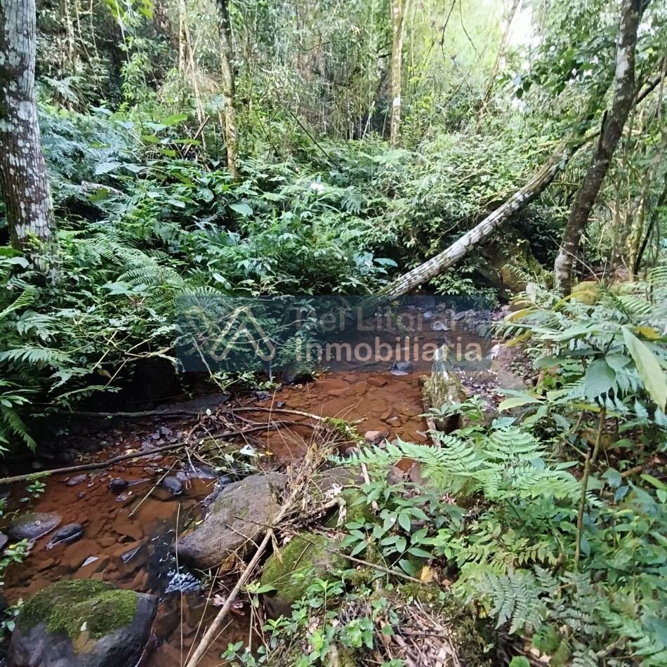QUINTA EN VENTA 