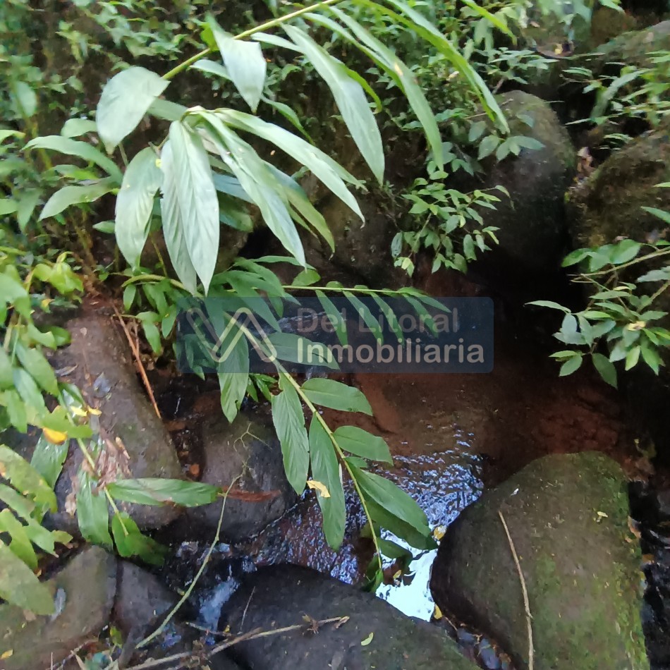 QUINTA EN VENTA 