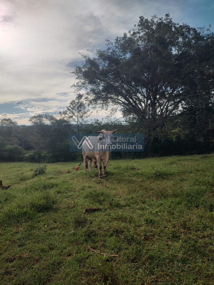CHACRA EN VENTA