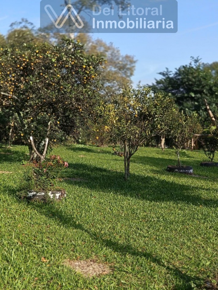 QUINTA