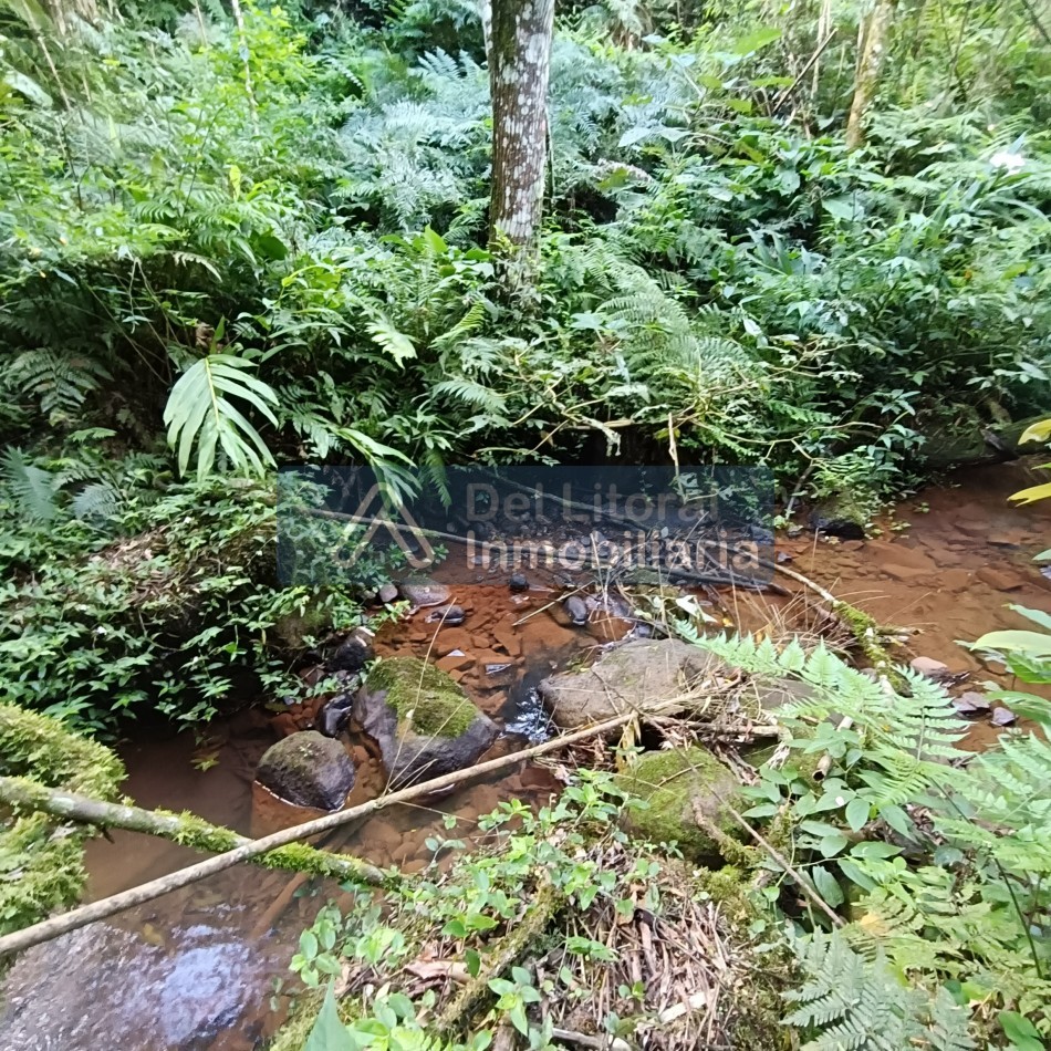 QUINTA EN VENTA 