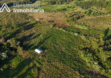 CHACRA 20 HA PROXIMO A RUTA PCIAL N° 13-SAN VICENTE, MNS- IDEAL PRODUCCION O GANADERIA 