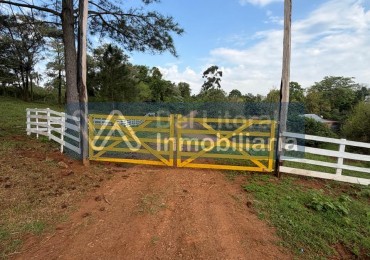 760 HECTAREAS PRODUCTIVAS EN VENTA: GANADERIA, PINO Y MONTE. SAN VICENTE, MISIONES