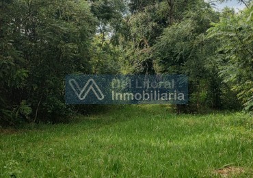QUINTA 