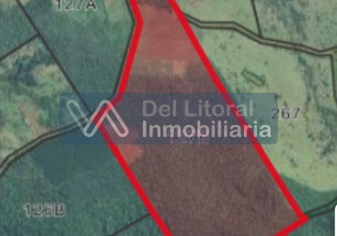 🌱 100 HECTAREAS PRODUCTIVAS SOBRE RUTA 212 - COLONIA SAN JORGE